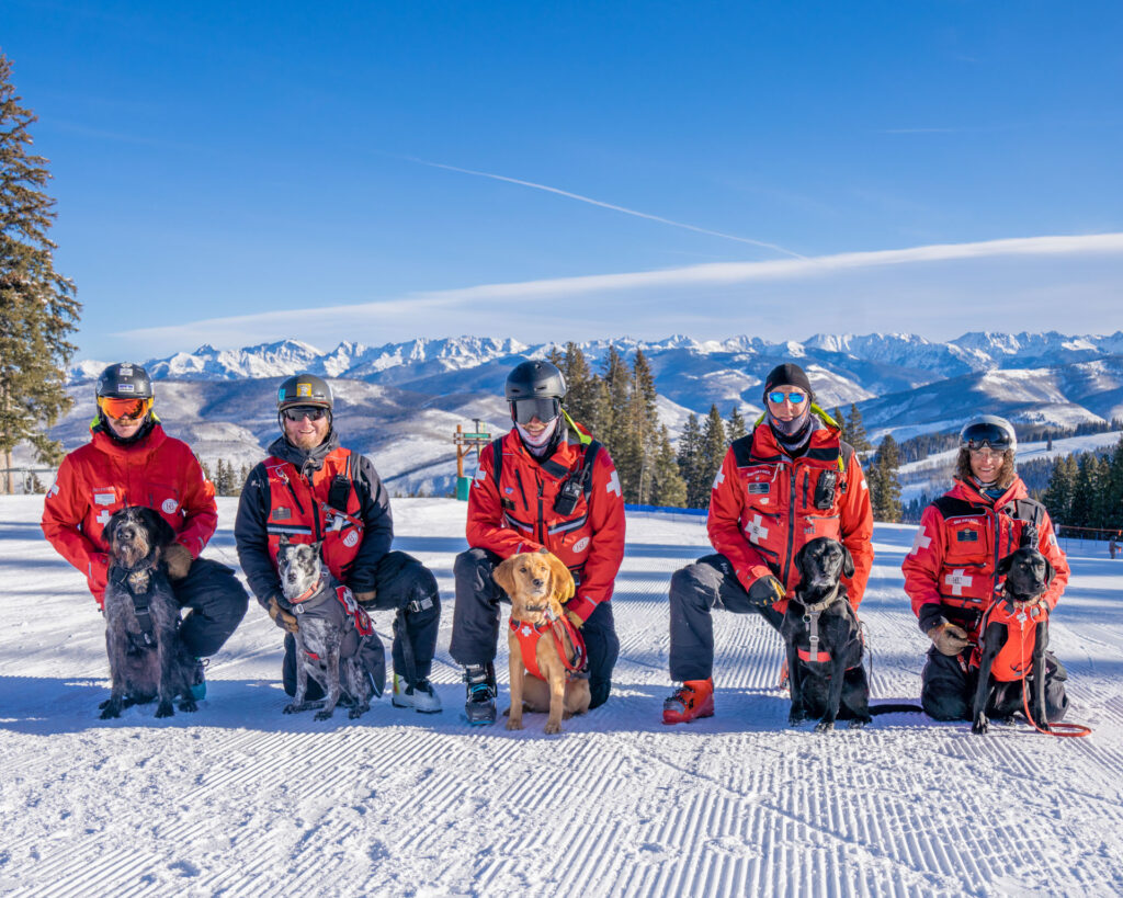 Image of 3 ski patrol employees with dogs in front of them on a sunny winter day