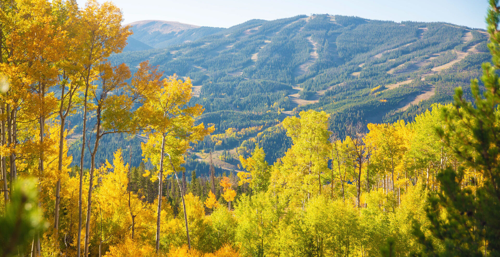 Foliage. The leaves changing signaling the start of winter in Keystone