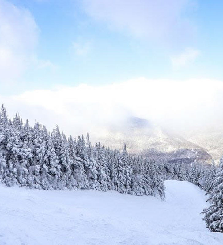 Image of a ski run at Wildcat