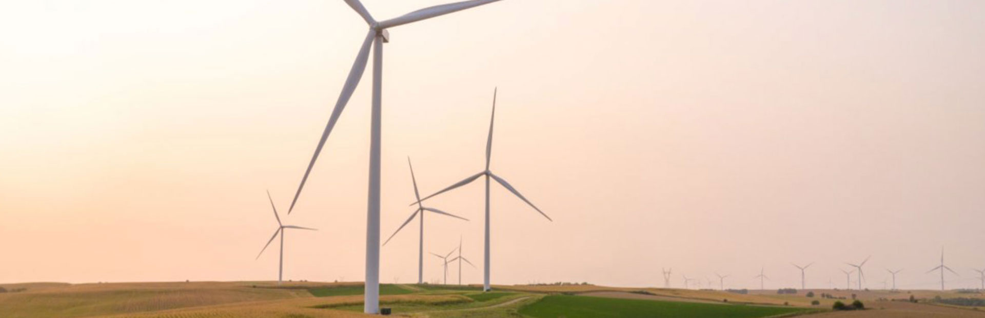 Windmills in field with a light orange sky