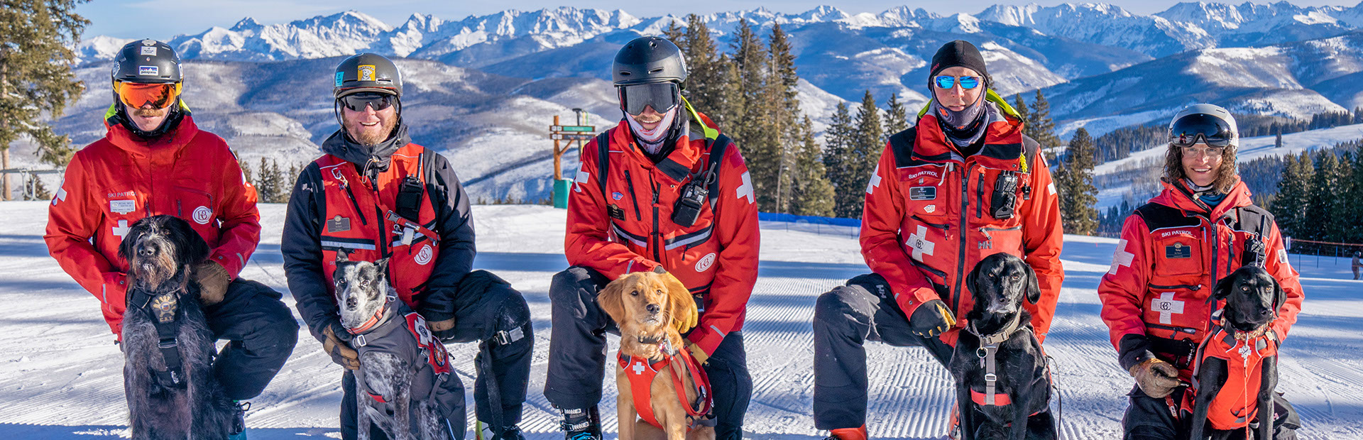 Five ski patrollers kneeling with dogs